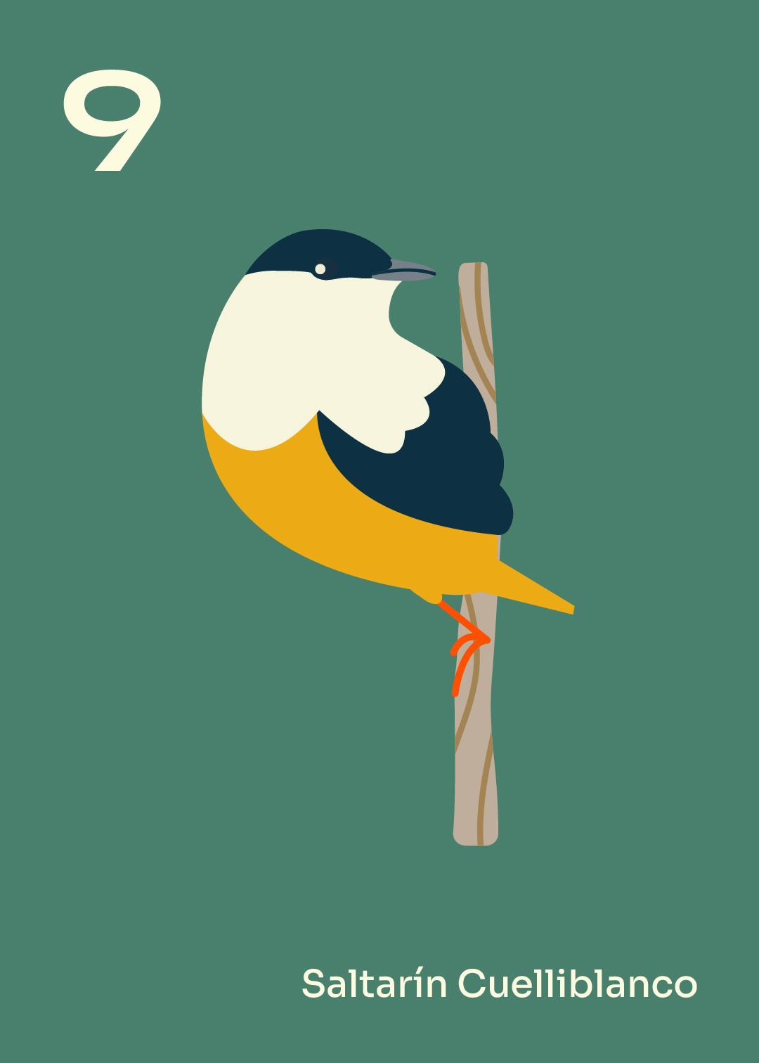 Aves-estampilla-36