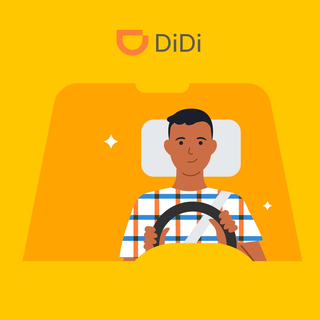 DiDi Illustration System