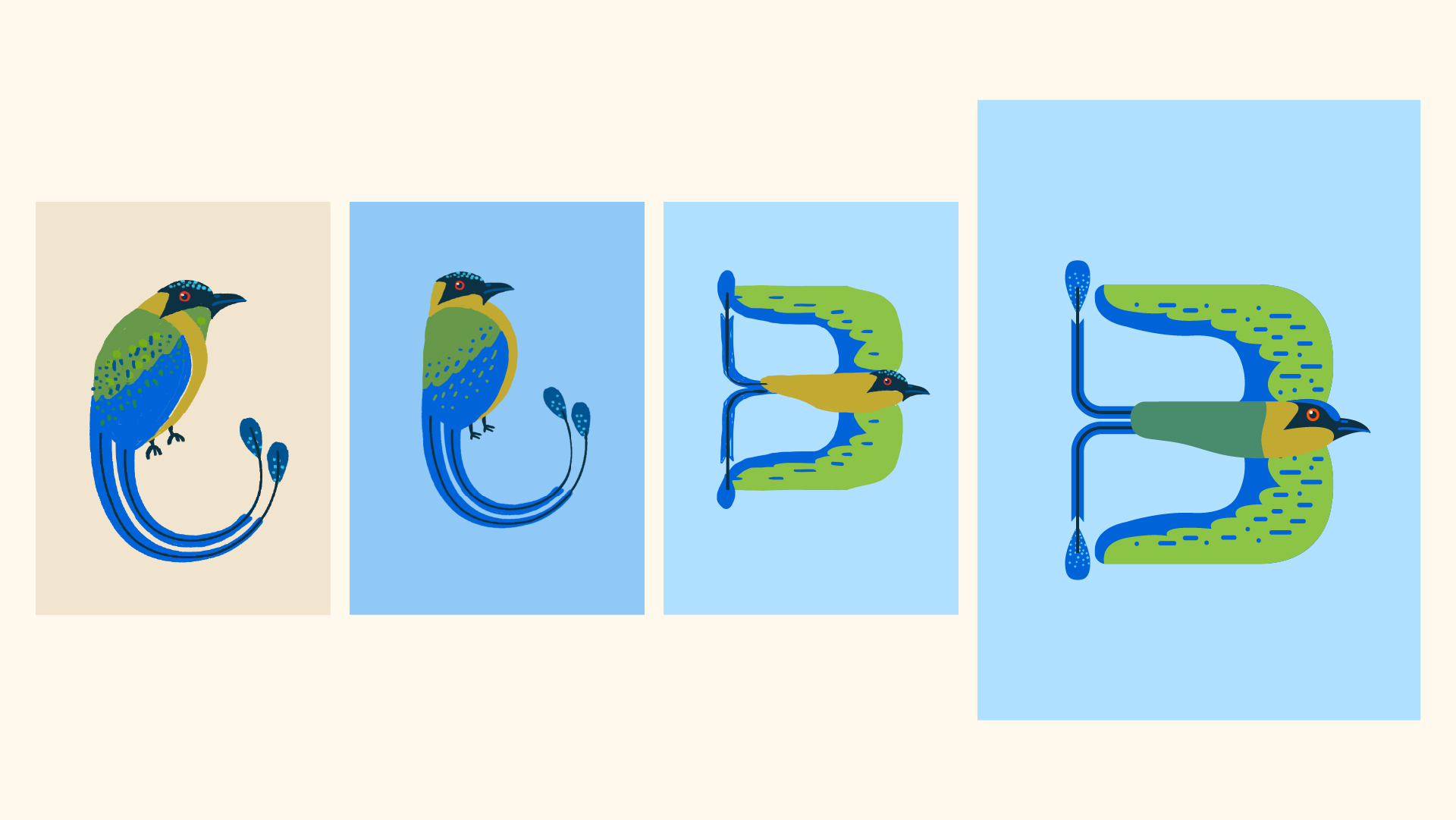 Aves de CR-website-B