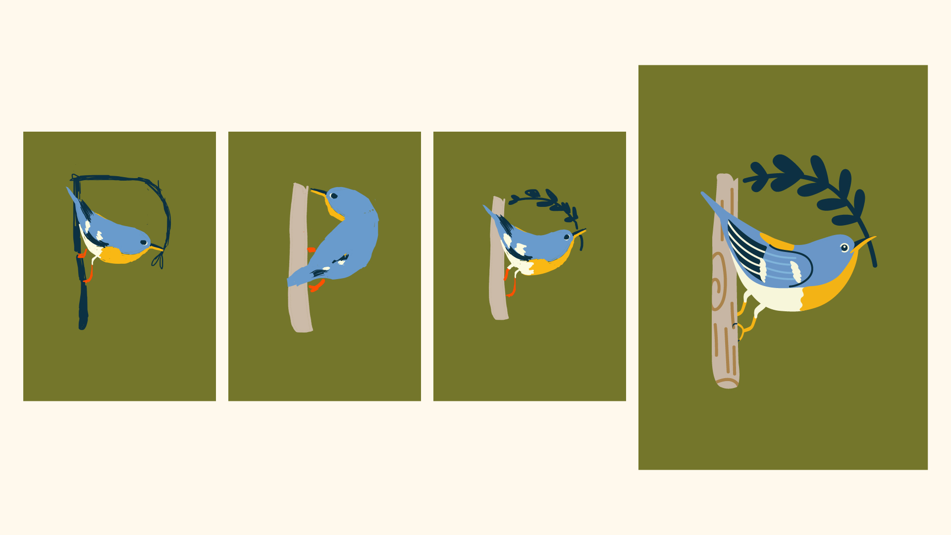 Aves de CR-website-B copy 4