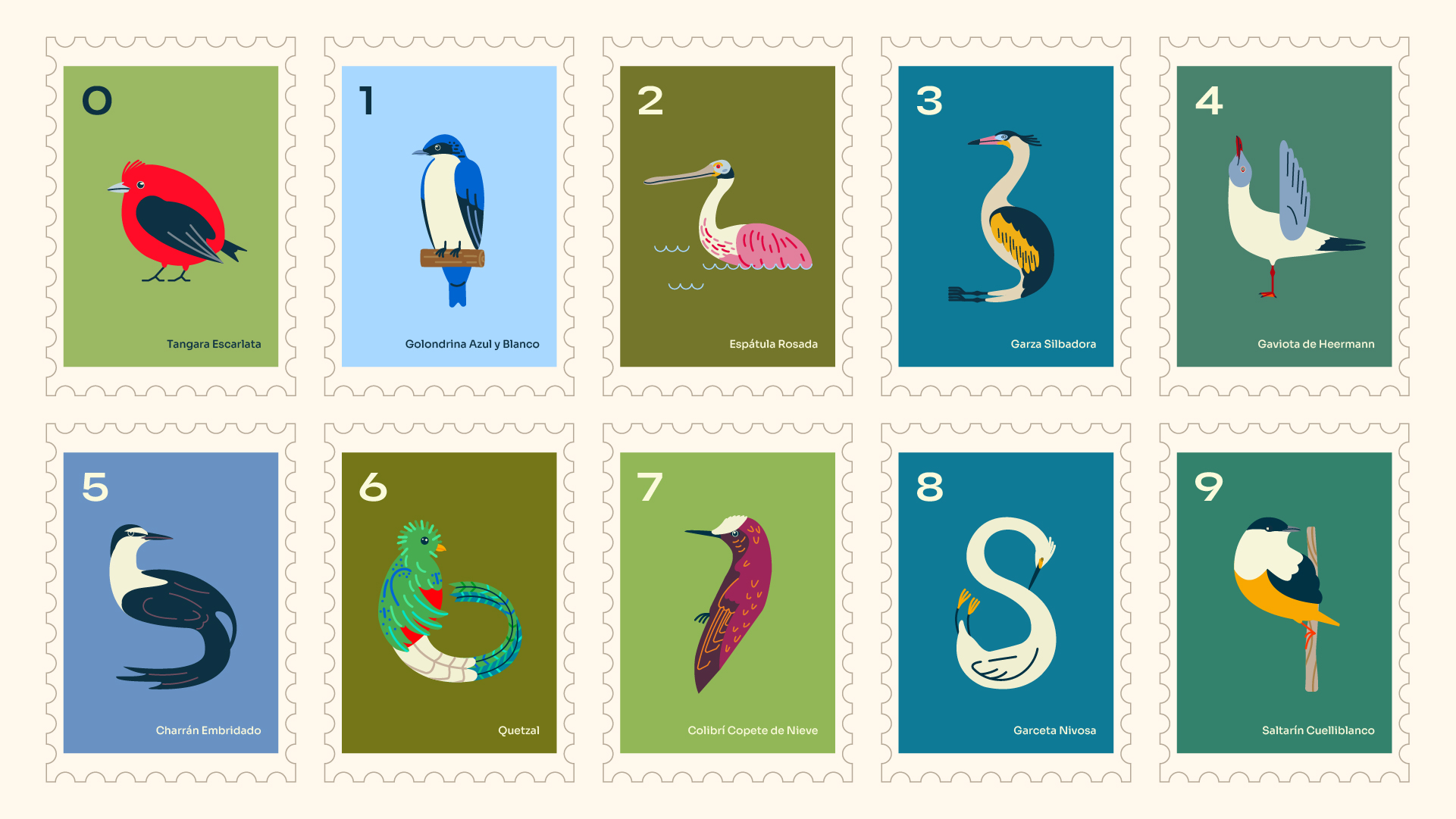 Aves de CR-website-B copy 5